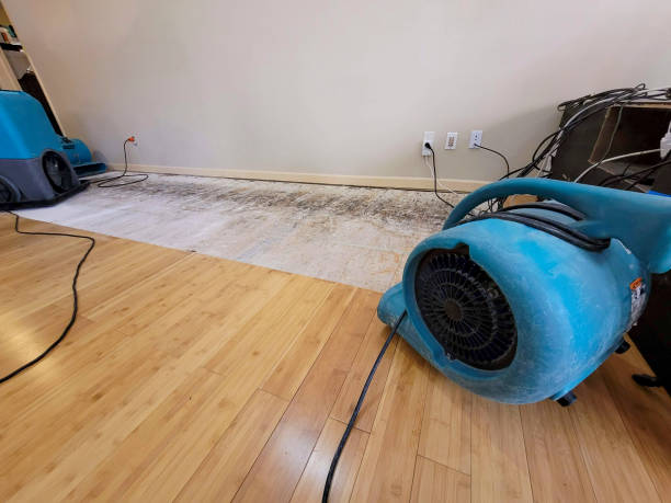 Professional Water Damage Repair technician working in Garrett, IN